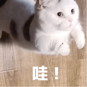 092738nyyi6usu3ucy9yu8.gif