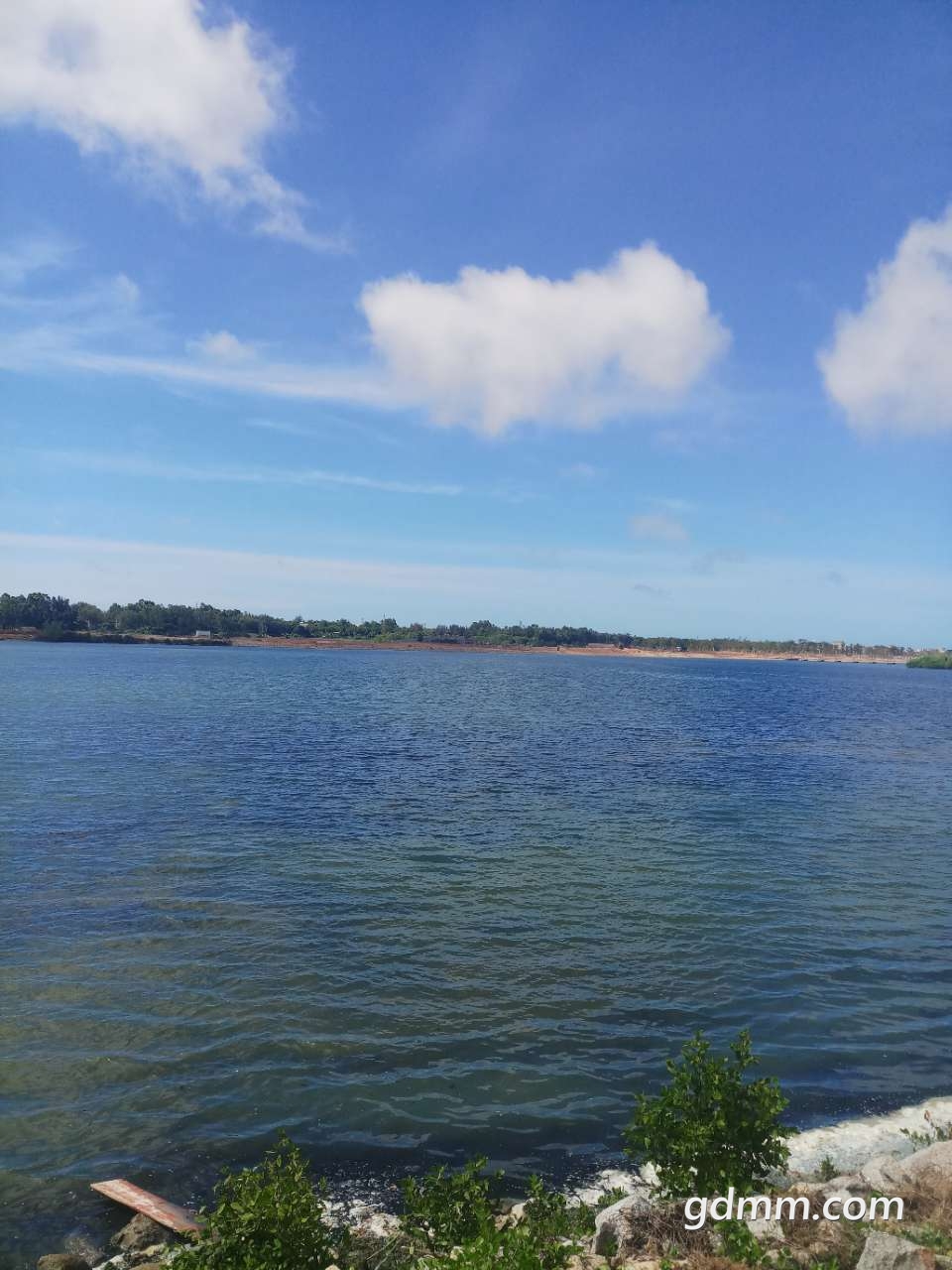 20200628_3256595_1593316996444.jpg