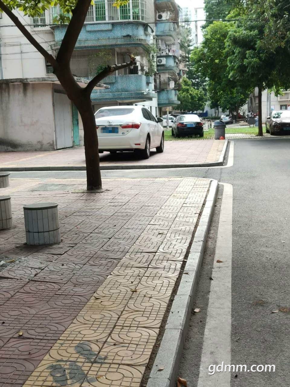 .jpg