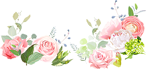 074351jznqysnc5nds5if5.png