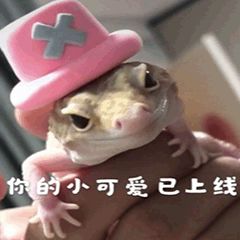 190716ammwowbmoxhbimbb.gif