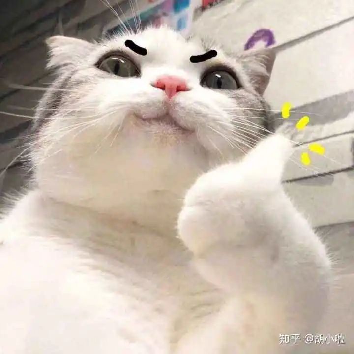 211715ynf5eowwnwllroww.jpeg