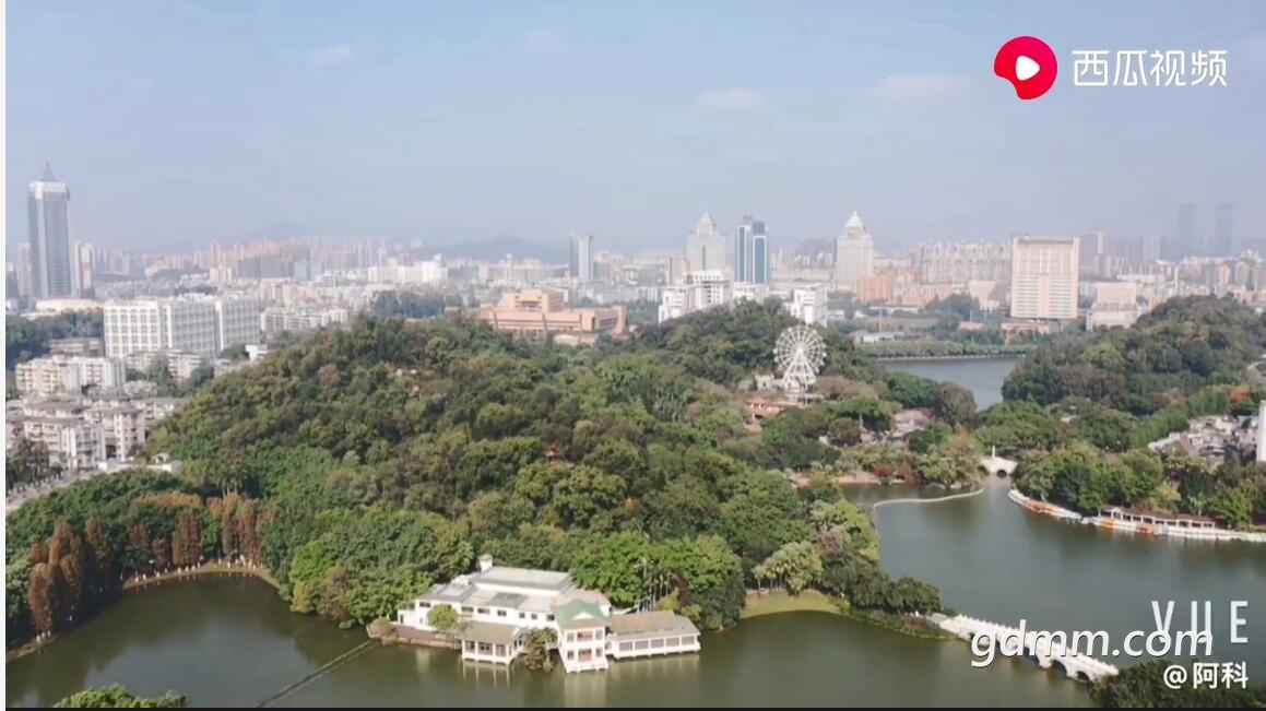 QQͼ20200805162436.jpg