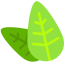 084750mj14ccabqy4975y6.png