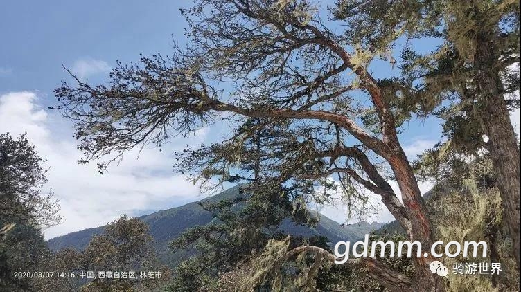 50.jpg
