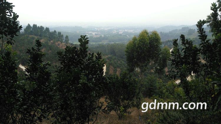 front1_0_FhpMXGq0W7mCz7VPxLDHsEE8k3Ld.jpg