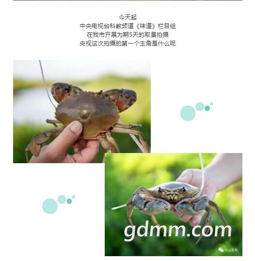 QQͼ20200819135237.jpg
