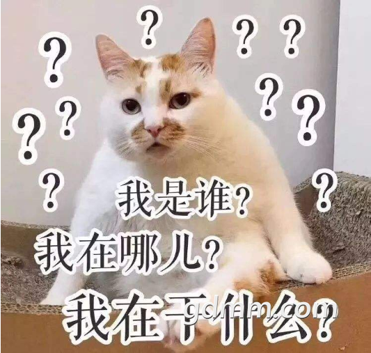 8.png