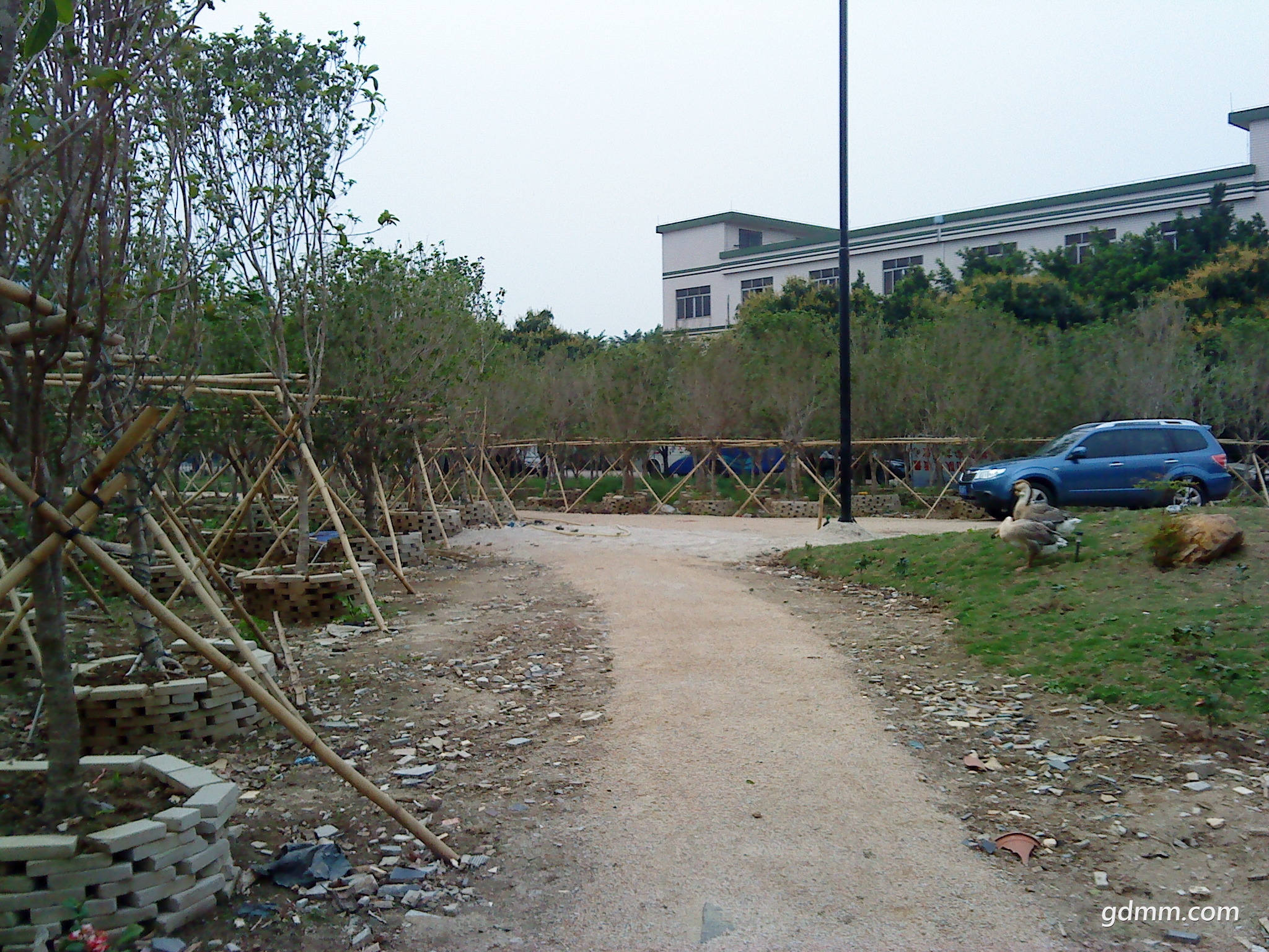 DSC00890.JPG
