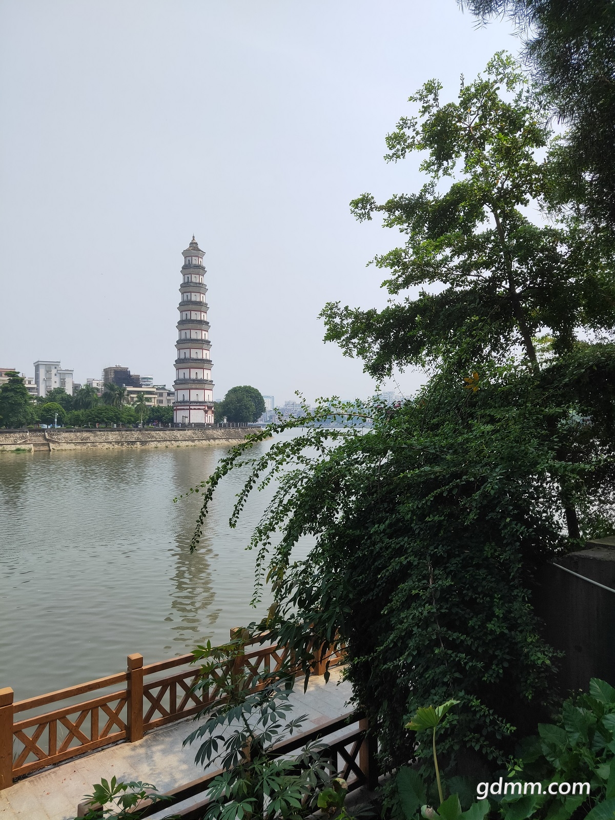 IMG20200831111524.jpg