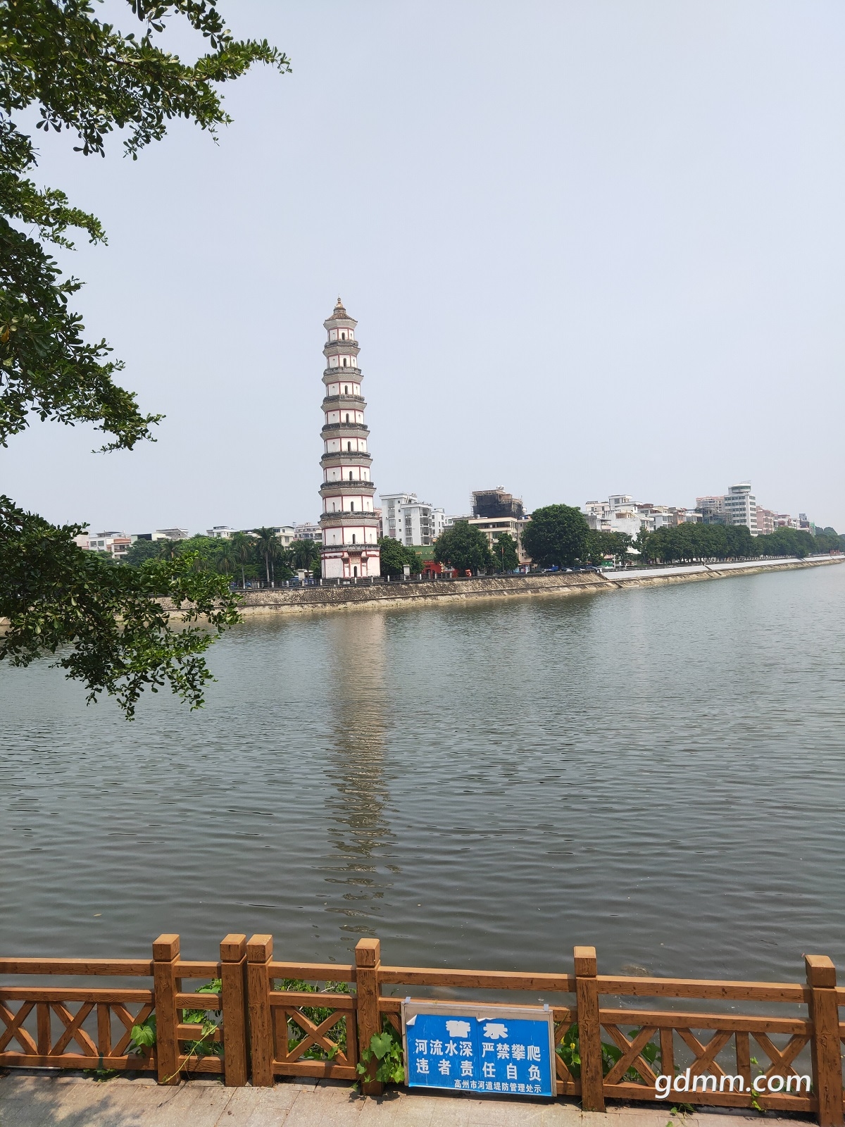 IMG20200831111732.jpg