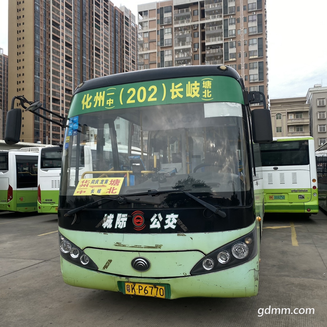 front1_0_Fpms9Hc9wG8wcs99QR82o16_1oP1.jpg