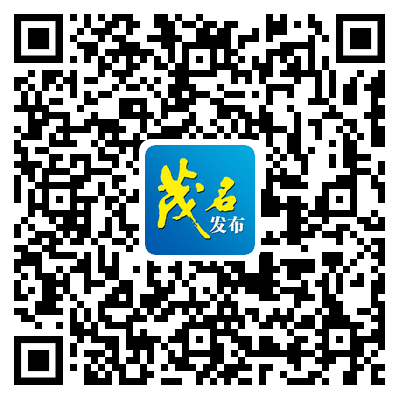 171246gphpe533pyq43te4.png