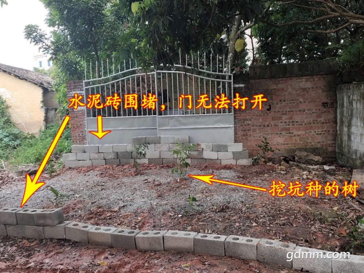 ͼƬ5.jpg
