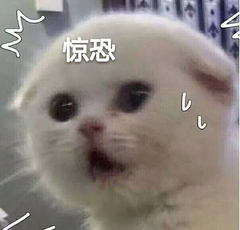 001538b8e6d3yy3d73y12y.png