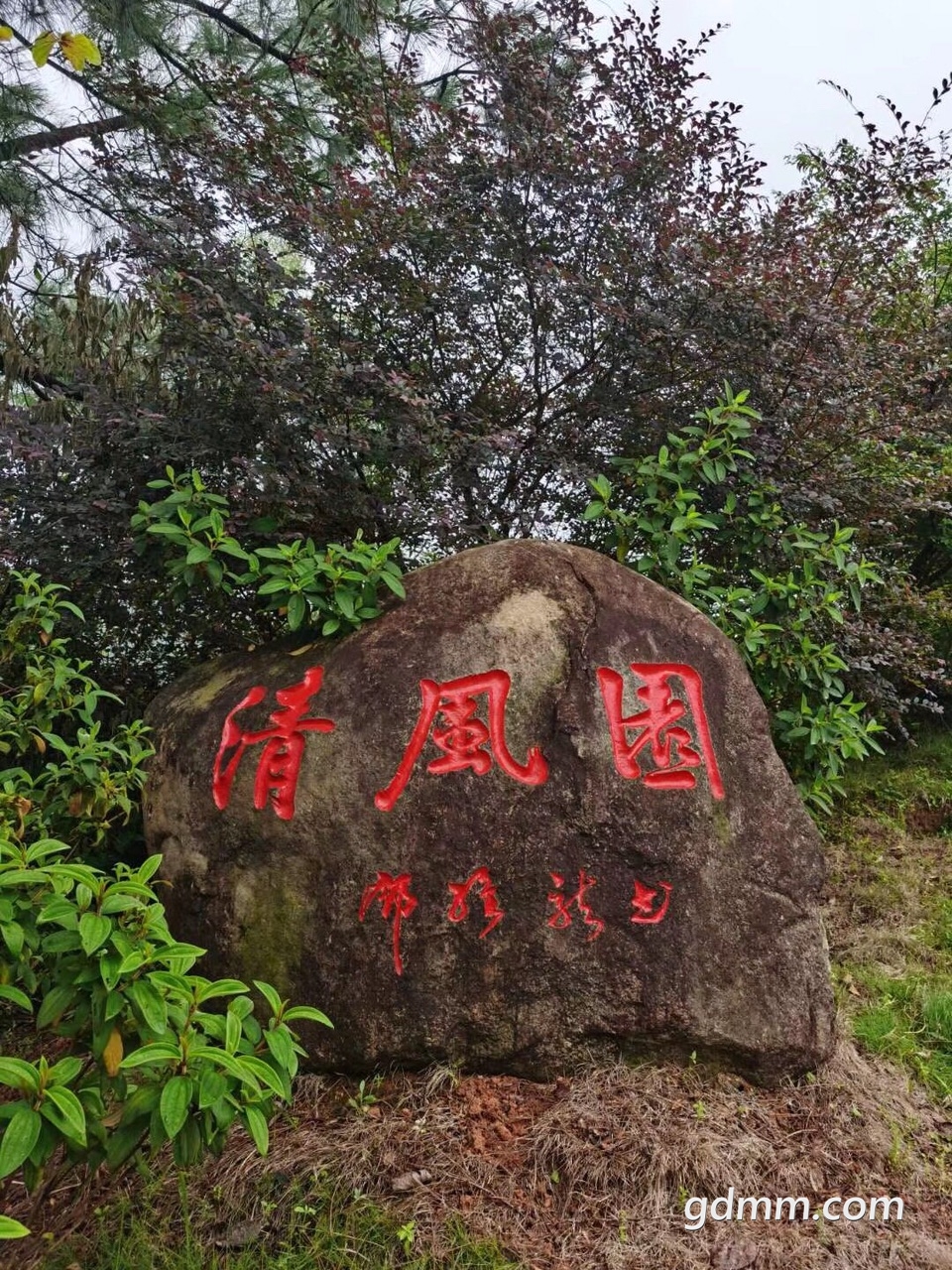 front1_0_FrnDXALHYlyn5GE-8Q9DihUyyvhu.1604713164.jpg