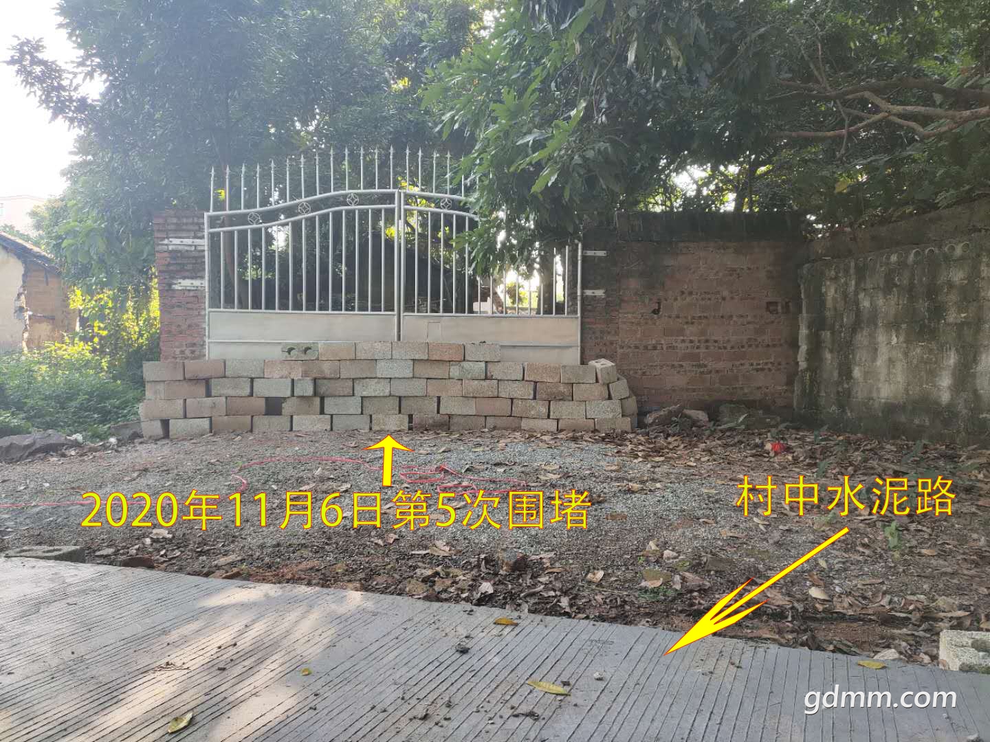20201106-1--.jpg