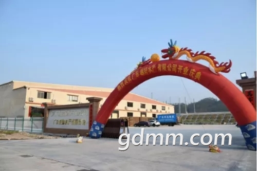 112121.webp.jpg