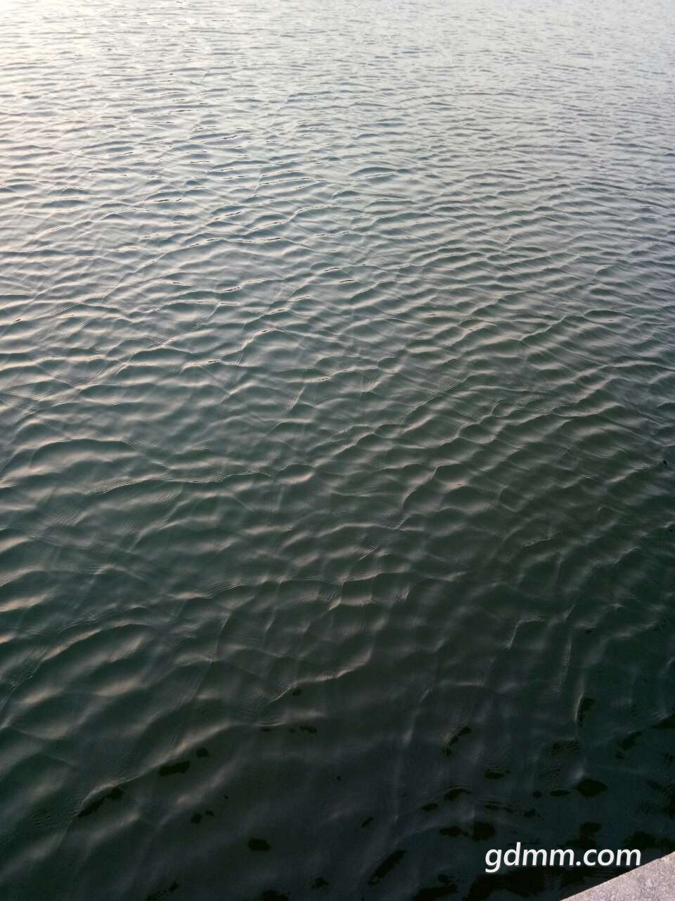 front2_0_Fsdvm6WFYQJCf9qMSLggONpI8ZWM.1606213423.jpg