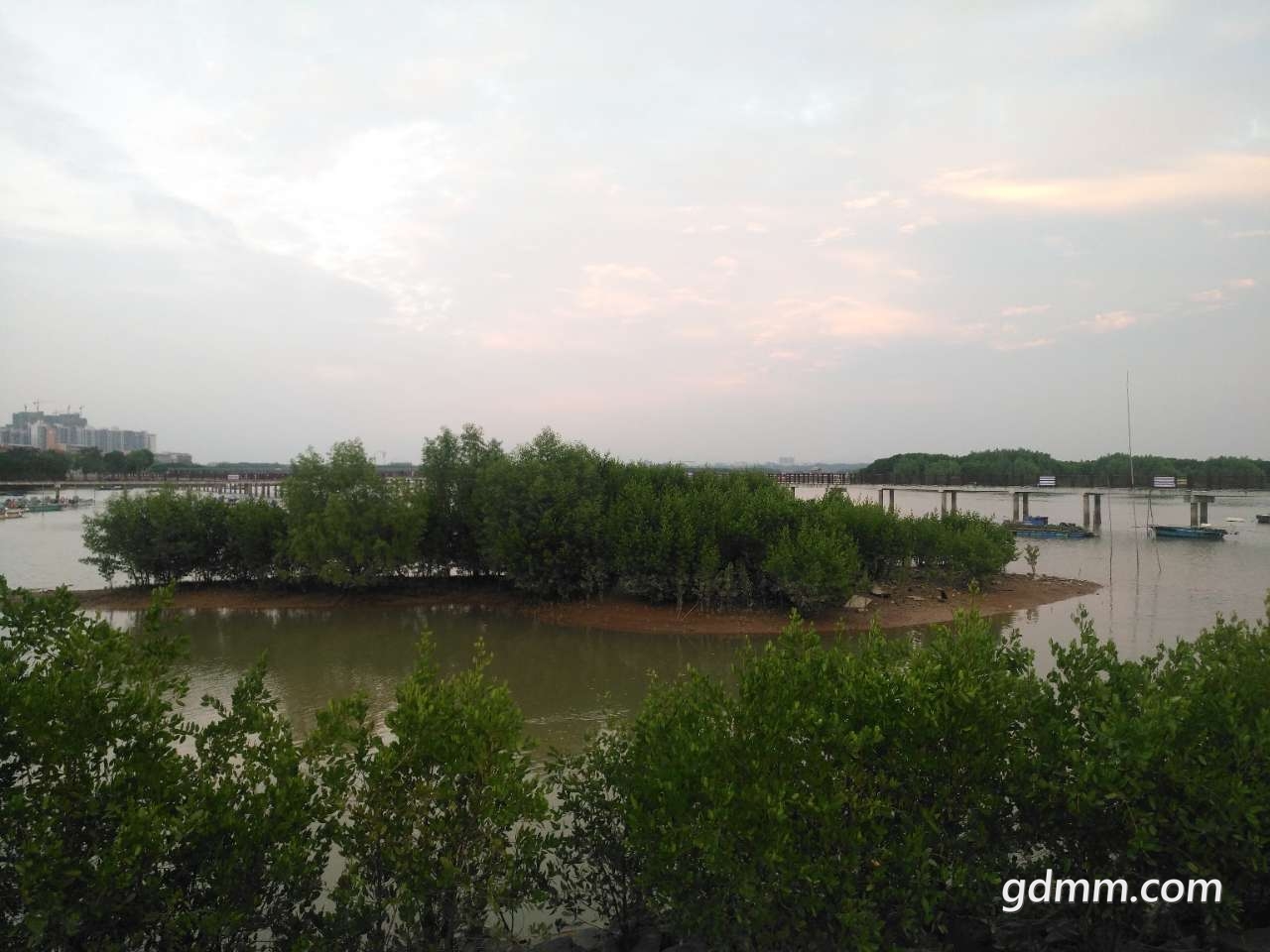 front2_0_Fq_8pCY4g8txc1iw4if8pMszITVa.1606710962.jpg