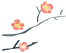 222156eg276ozw79ywdayz.png