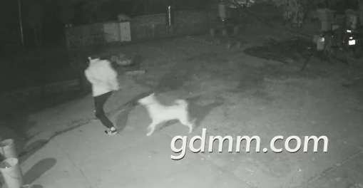 δ1608002467.png