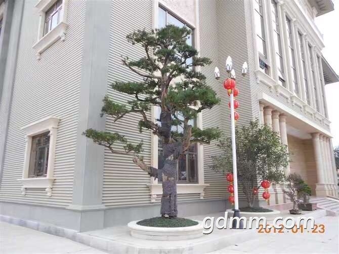 front1_0_FsUt0G0Fb7AZOuSiTHX9fT3AZJ3L.1608533191.jpg