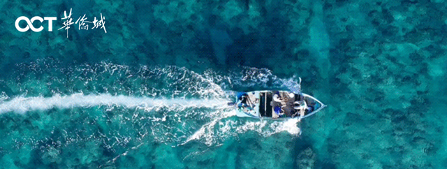 170257b78xy8ryvx7pjqn7.gif