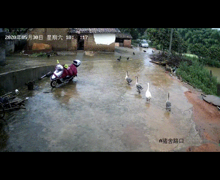 083305iz1vva18ijdxag1s.gif