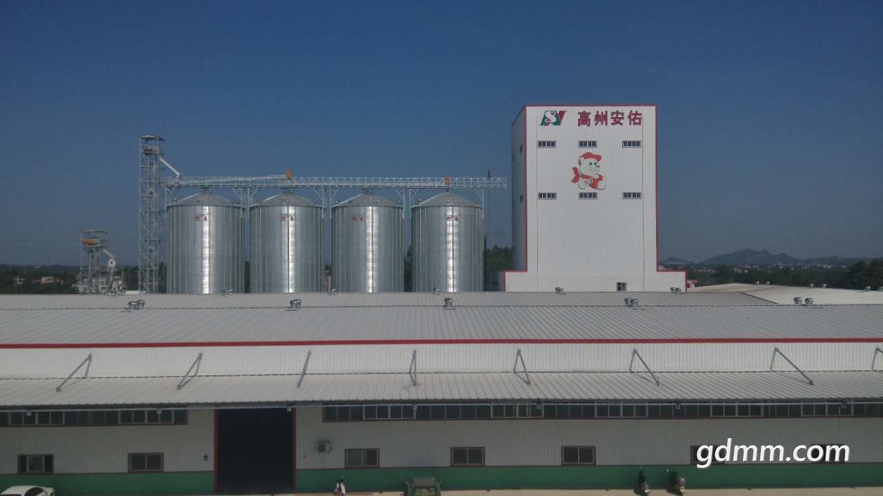 高州安佑.jpg