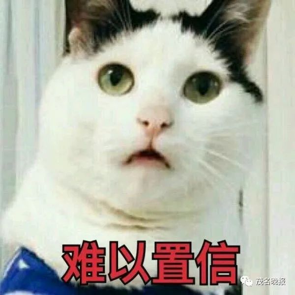 230239bnuqhqklsoylqkyl.jpeg