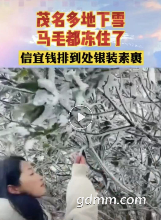 Ļ 2021-01-09 9.10.44.png