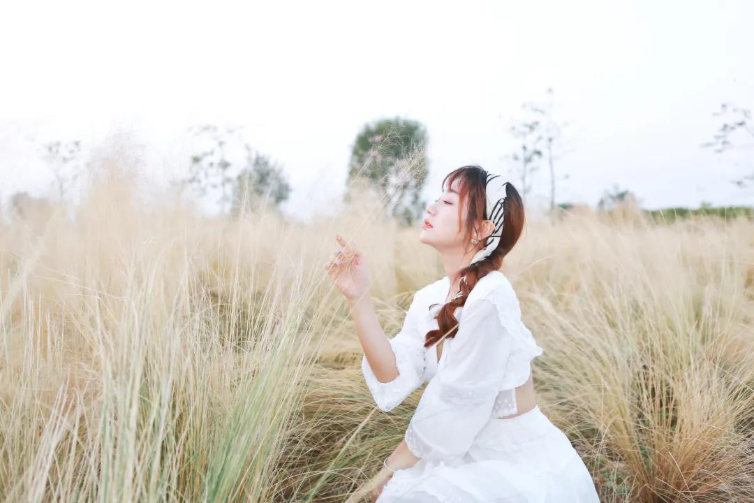 150809tlllpa6llbpp66hl.png