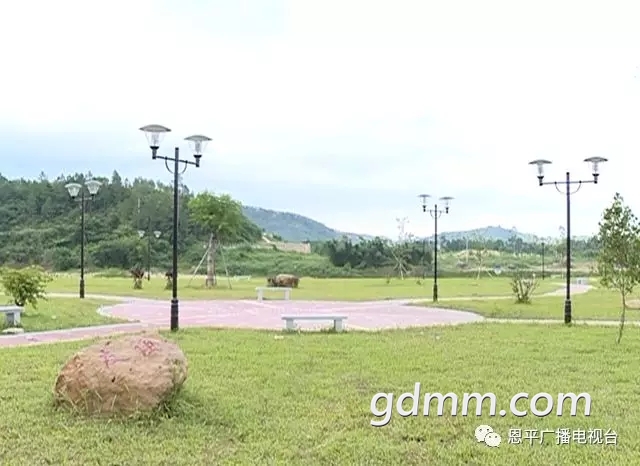 64033.webp.jpg