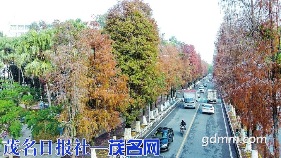 8e4efc6a3c63a571d5b5f83c2736ec15.jpeg
