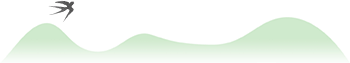 082704trfoefreryrh5fqq.png