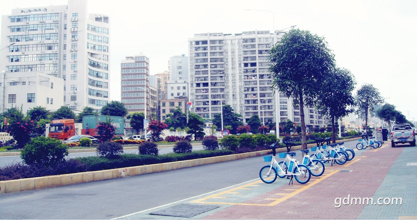 QQ截图20210203184409_副本.jpg