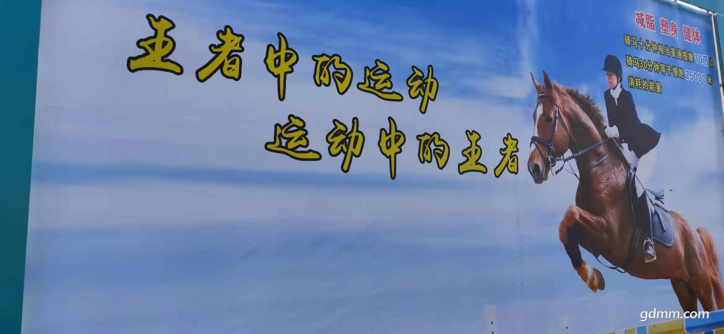 02.jpg