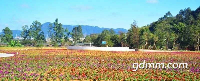 front2_0_FtgUQyn-gLfszfaCPpLeFiu2KbJp.1613489620.jpg