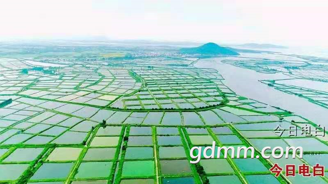 ΢ͼƬ_20210218094329.png