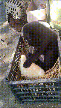 front2_0_FkIxKmuXh9yXoq64y4fsZ72YwG1S.1613636581.gif