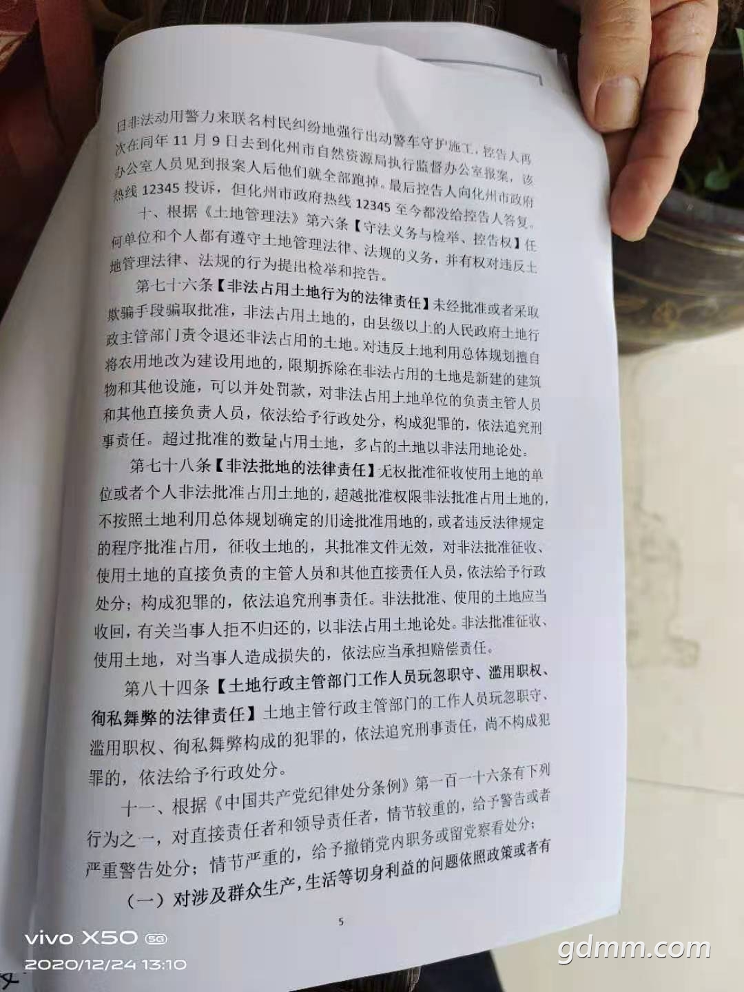 06.jpg
