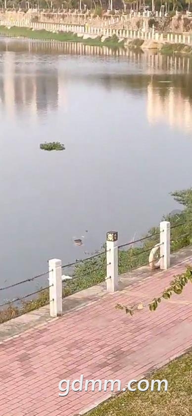 360ͼ20210223180413791.jpg