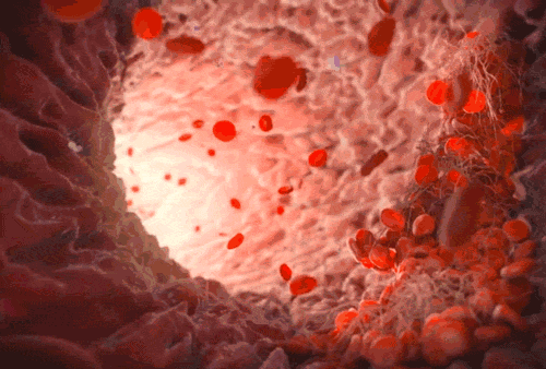 ΢ͼƬ_20210228162220.gif
