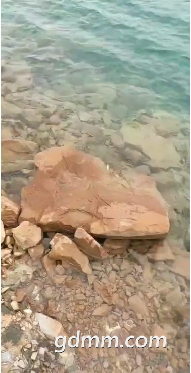 ΢ͼƬ_20210301185601.png