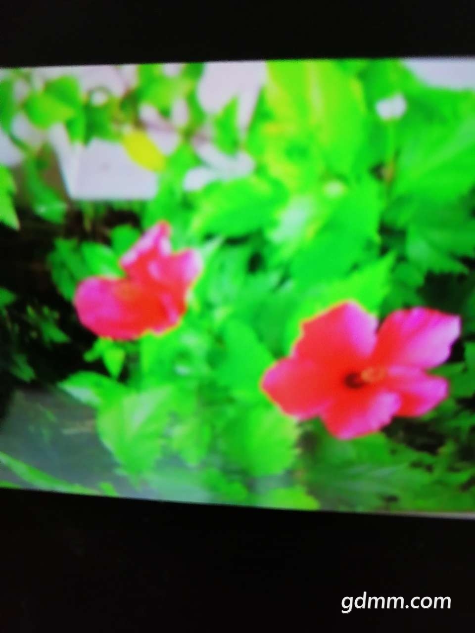 front2_0_FjkhtivoXhgbZwBgC8_lBoMgTz3z.1614873895.jpg