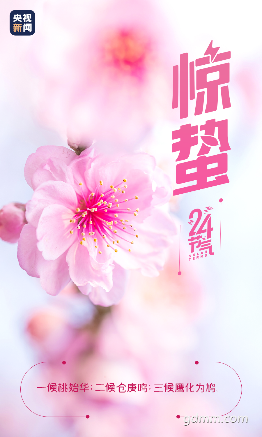 100401durjyjx2vnnttuby.png