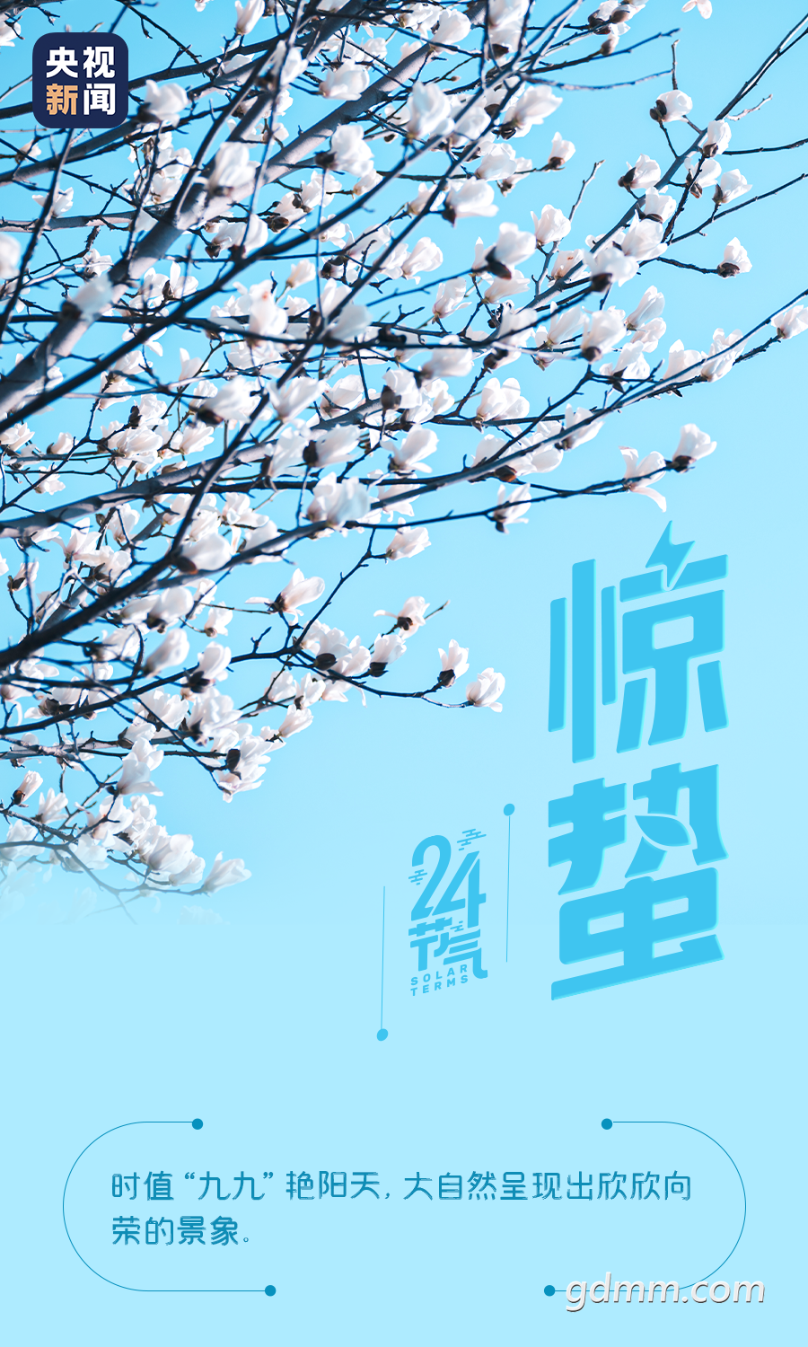100402cm1n5shkhrqkzn1p.png