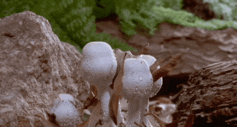 122152ovjndfmvzc19n9if.gif