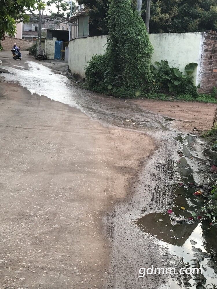 44.jpg